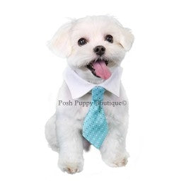Adrian Shirt Tie Collar - Posh Puppy Boutique