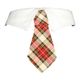 Carter Shirt Tie Collar - Posh Puppy Boutique