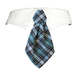 James Shirt Tie Collar - Posh Puppy Boutique