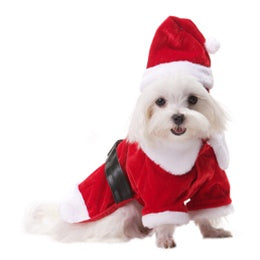 Santa Paws Coat - Posh Puppy Boutique