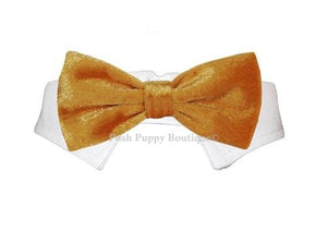 Valentino Velvet Bow Tie Collar- Gold - Posh Puppy Boutique