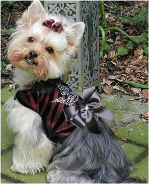 Couture Majestic Crown Dog Harness Vest - Posh Puppy Boutique