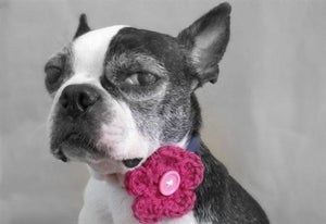 Crochet Dog Collar Flower in Many Colors, Many Layers - Posh Puppy Boutique
