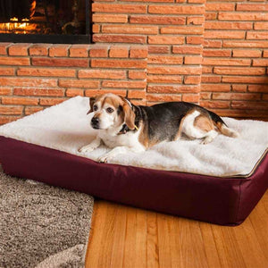 Super Orthopedic Lounge Dog Bed with Cream Sherpa in Many Colors - Posh Puppy Boutique
