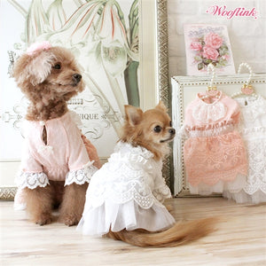 Wooflink Dreamy Afternoon Dress - White - Posh Puppy Boutique