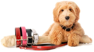 Manhattan Patent Leather Leash - Red - Posh Puppy Boutique