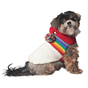 Vintage Ski Hoodie Sweater - Posh Puppy Boutique