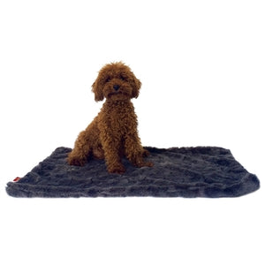 Charcoal Bella Minkie Binkie Blanket - Posh Puppy Boutique