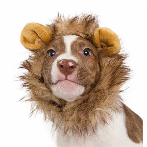 Lion Mane Costume for Small Dogs