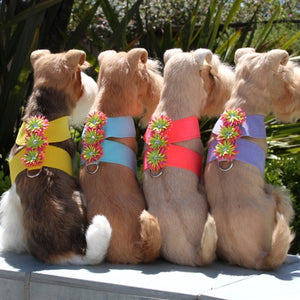 Susan Lanci Sea Urchin Collection Tinkie Harnesses in Many Colors - Posh Puppy Boutique