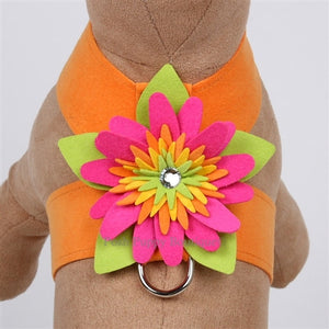 Susan Lanci Island Flower Collection Tinkie Harness-Many Colors - Posh Puppy Boutique