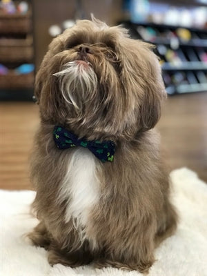 Lucky Bow Tie - Posh Puppy Boutique