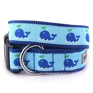 Squirt Collar and Lead Collection - Posh Puppy Boutique