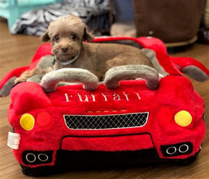 Furrari Bed - Posh Puppy Boutique