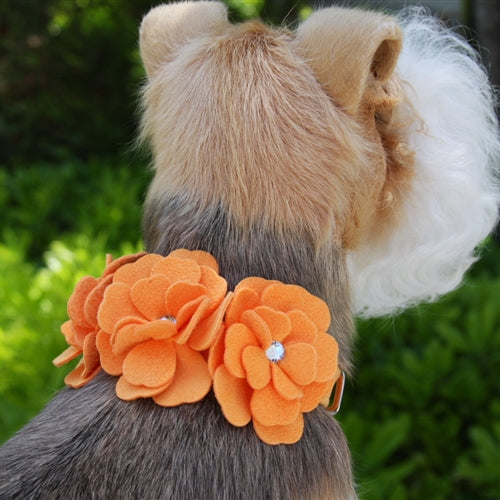 Susan Lanci Tinkie's Garden Ultrasuede Collar in Many Colors