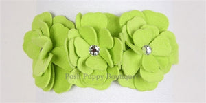 Susan Lanci Tinkie's Garden Ultrasuede Collar in Many Colors - Posh Puppy Boutique