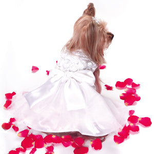 The Bianca Rose Ribbon Dog Dress - Posh Puppy Boutique