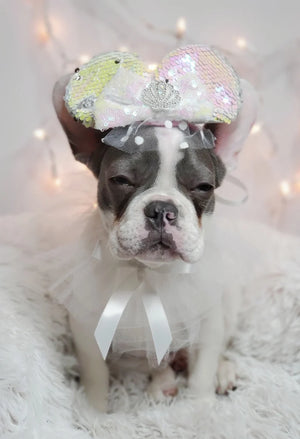 Pastel with Sequins Mini Mouse Hat for Dog or Cat