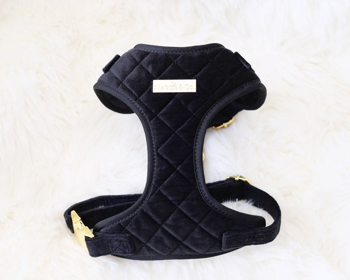 Maggie and Co. Velvet Collection: Black Diamond Harness