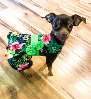 Twilight Black Hawaiian Hibiscus Dog Dress with Matching Leash - Posh Puppy Boutique
