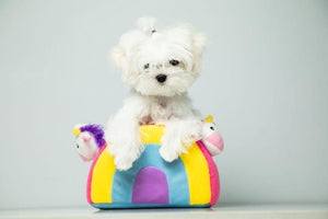Zippy Paws Burrow - Unicorns in Rainbow - Posh Puppy Boutique