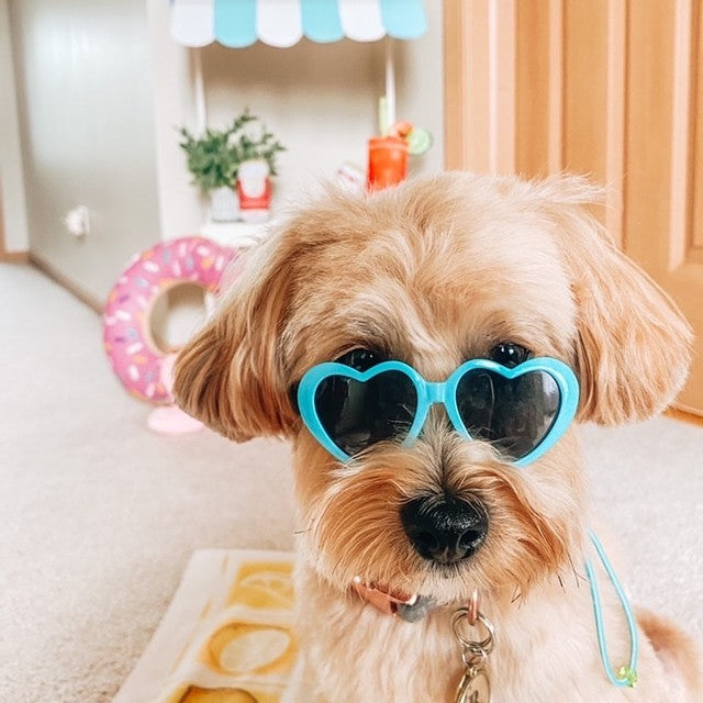 Tiny Dog Heart Sunglasses in Turquoise