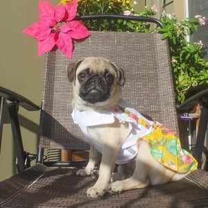 Floral Suspender Dress - Posh Puppy Boutique