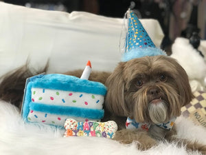 Birthday Cake Blue Plush Toy - Posh Puppy Boutique