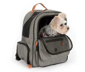 Designer Pet Carriers And Crates – What Are The Differences Between The Two