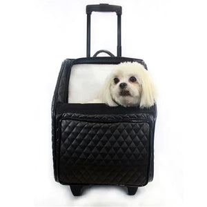 Discovering the Perfect Dog Carrier for Your Furry Companion