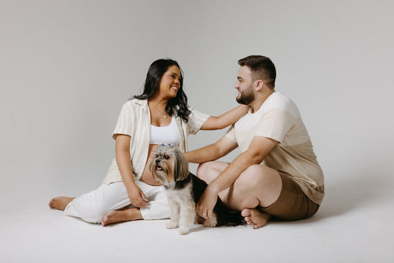 Dog Carriers 101: How to Choose the Right One for Your Pooch – Posh ...