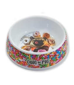 Designer Dog Bowls: Elevating Mealtime for Your Beloved Canine