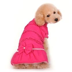 Stylish Canine Couture: Elevate Your Dog's Wardrobe