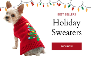 5 Dog Clothes That Will Define 2022
