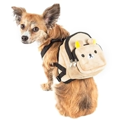 5 Luxury Dog Accessories to Keep Your Best Pal Happy