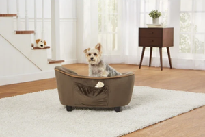 Pamper Your Pooch with a Luxury Dog Bed