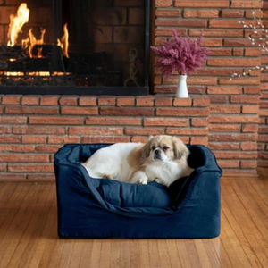 Designer Dog Beds: A Treat for Your Furry Friend