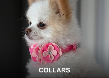 Luxury Dog Accessories  Dog Hair Bows, Caps, and Jewelry – Posh Puppy  Boutique