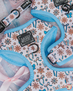 2025 Ambassador Winter Collection