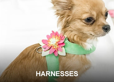 About Us - Online Boutique Dog Clothes Manufacturer, Designer Pet  Accessories
