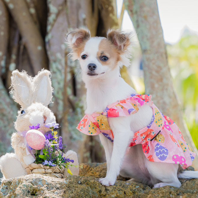 Easter Egg Pink Dress