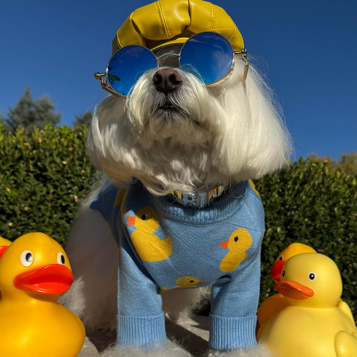 Duck Prints Dog Sweater