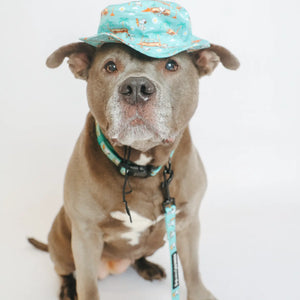 Dog Bucket Hat - Peanuts™ Road Trippin