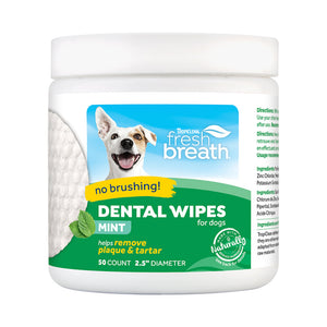 Fresh Breath No Brushing Clean Teeth Dental & Oral Care Dental Wipes