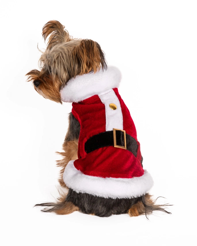 Santa Dog Coat