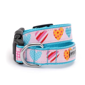 Love is Love Dog Collar & Lead
