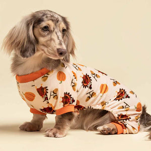 dogs dressed for thanksgiving Thanksgiving Turkey Pajama – Posh Puppy Boutique