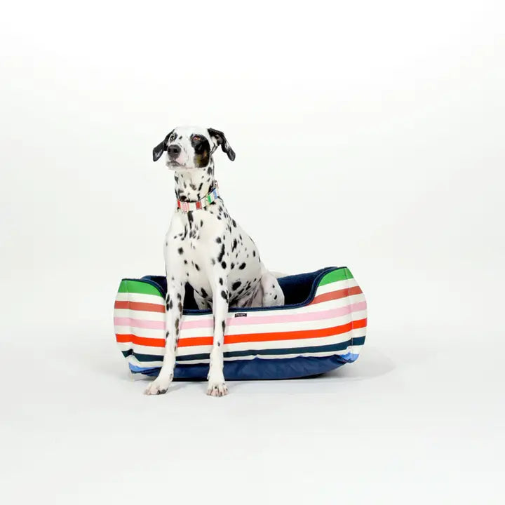 Kate Spade Adventure Stripe Bed – Posh Puppy Boutique USA | Luxury