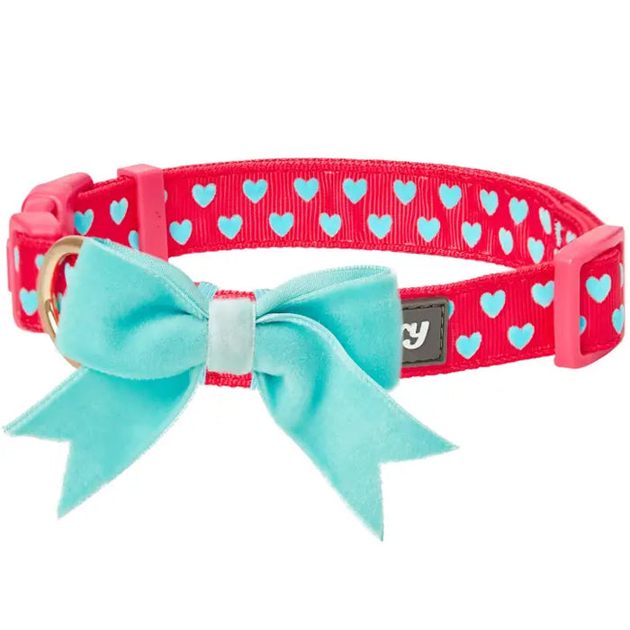 Velvety Heart Flocking Dog Collar in Hot Pink