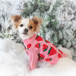 Sweet Strawberry Dog Sweater